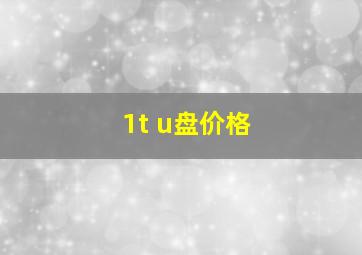 1t u盘价格